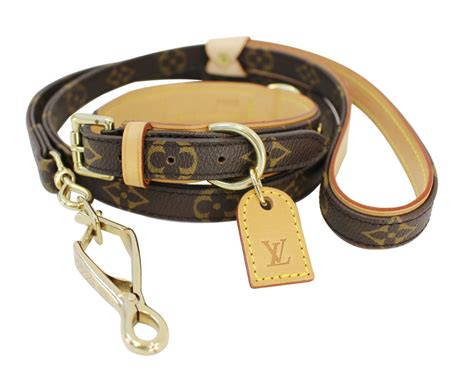 collier chien lv